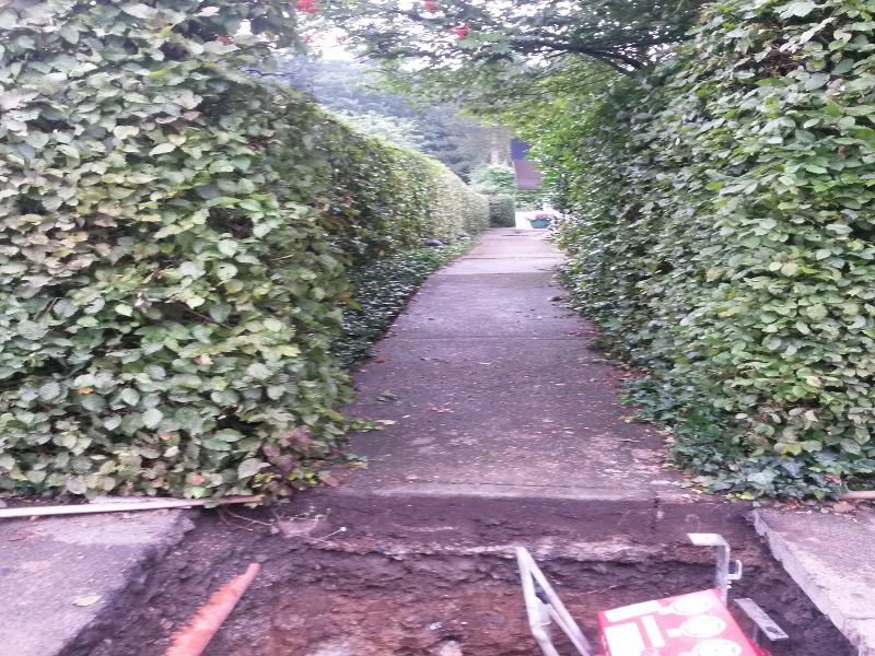 kleiner Gehweg im Garten, small sidewalk in the garden © TERRA AG, Reiden, Switzerland