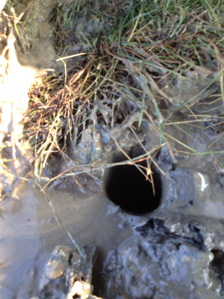 HDD horizontal drill TERRA-JET TJ 2808 S drills horizontal and vertical, pic 7